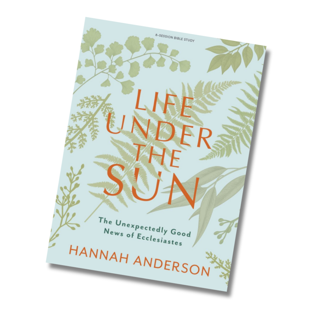 life under the sun bible study hannah anderson